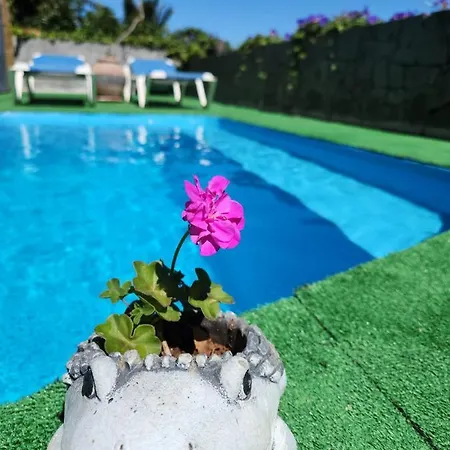 Layo Nyaraló *