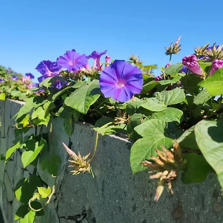 Layo Casa vacanze Arucas