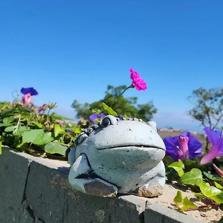 Casa vacanze Layo Arucas